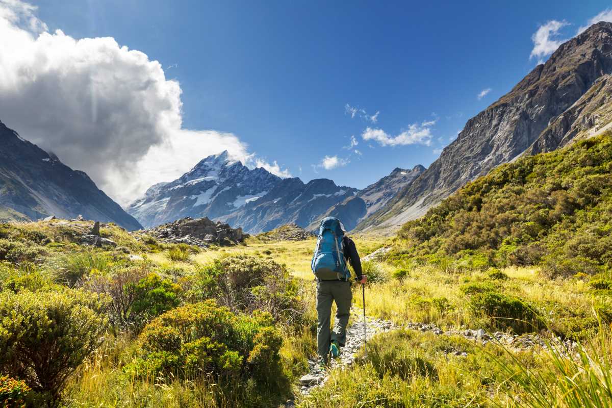 Discover Local Hiking Trails and Parks